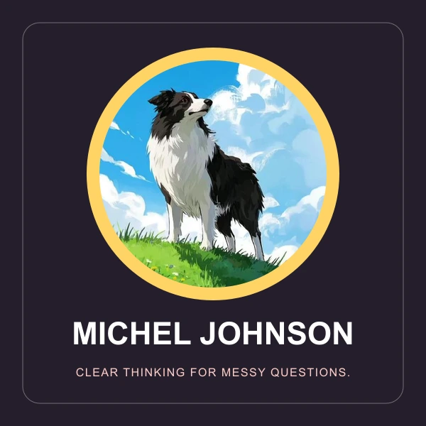 Michel Johnson